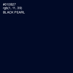 #010B27 - Black Pearl Color Image